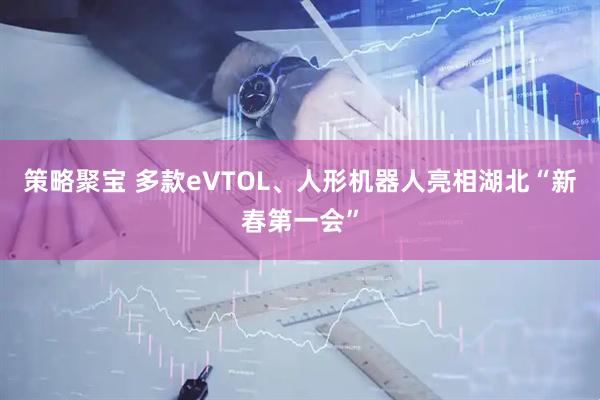 策略聚宝 多款eVTOL、人形机器人亮相湖北“新春第一会”