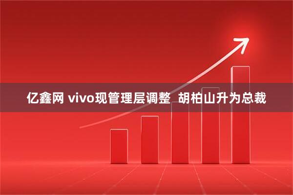 亿鑫网 vivo现管理层调整  胡柏山升为总裁