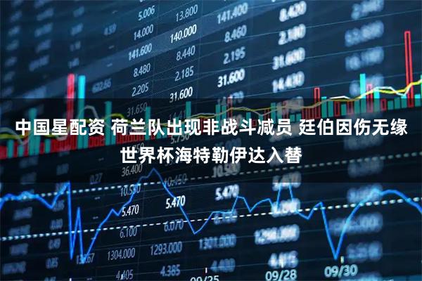 中国星配资 荷兰队出现非战斗减员 廷伯因伤无缘世界杯海特勒伊达入替