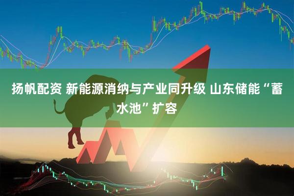 扬帆配资 新能源消纳与产业同升级 山东储能“蓄水池”扩容