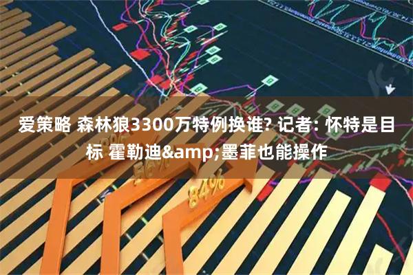 爱策略 森林狼3300万特例换谁? 记者: 怀特是目标 霍勒迪&墨菲也能操作