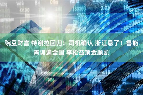 豌豆财富 特谢拉回归！司机确认 浙江悬了！鲁能青训遍全国 李松益顶金顺凯
